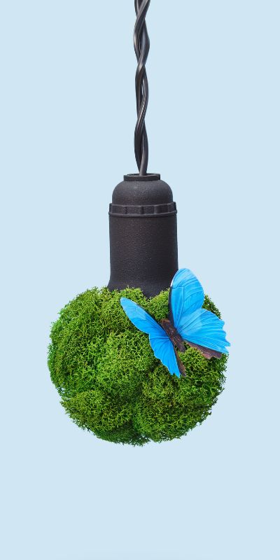 Bekijk de afbeelding in een volledig scherm